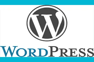 formation webmarketing vignette wordpress